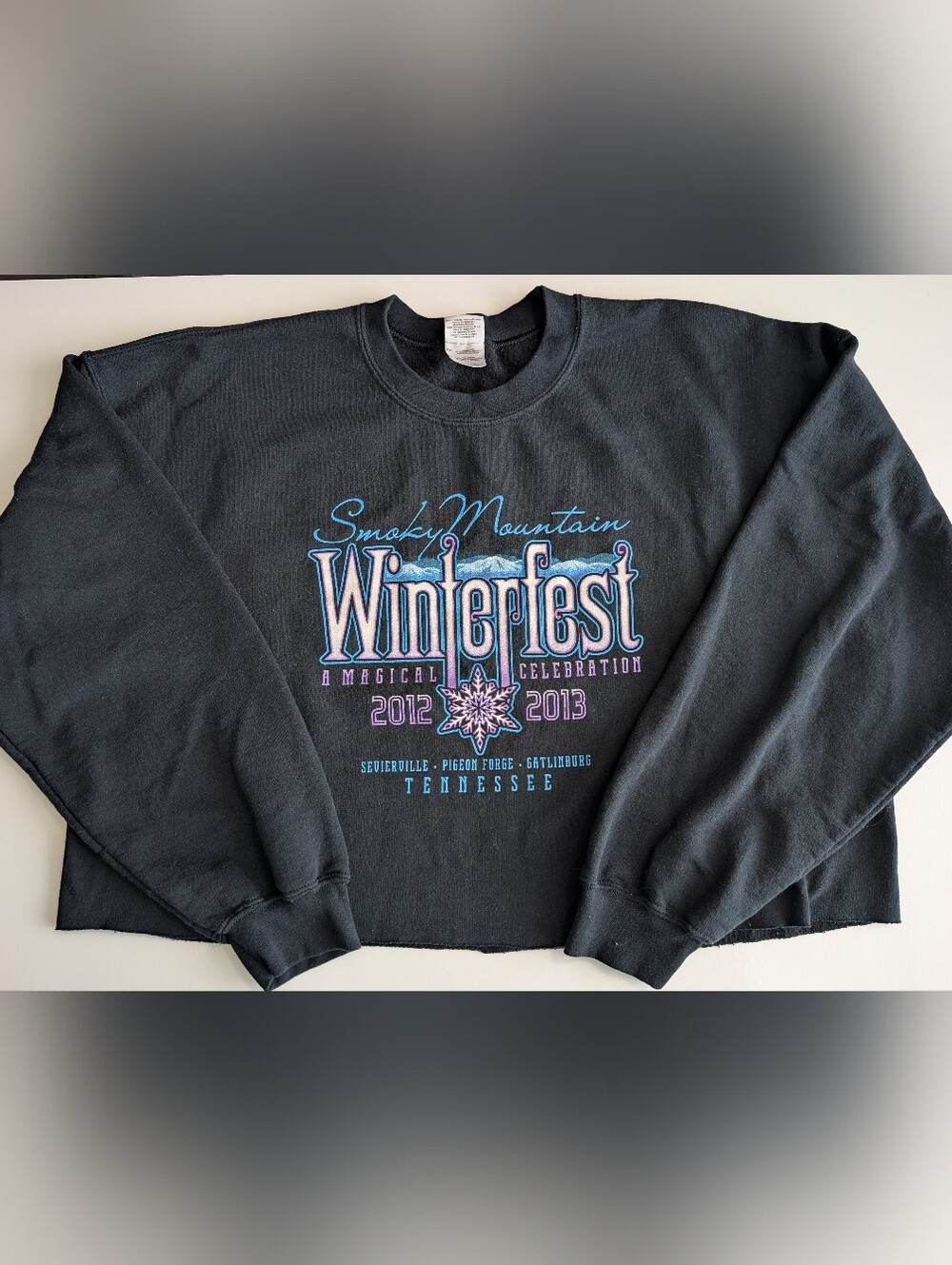 Cropped Black Sweatshirt | Smoky Mountain Tennessee Y2K Winter Festival